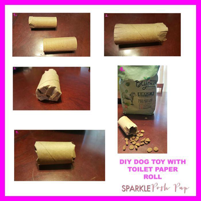 5 Great DIY Dog Toys